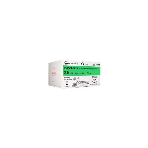 NYLON 2/0 CT 3/8 24MM 75CM